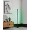Eglo PICACHA Floor Lamp LED black, 1-light source, Remote control, Colour changer