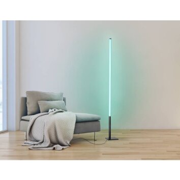 Eglo PICACHA Floor Lamp LED black, 1-light source, Remote control, Colour changer