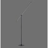 Paul Neuhaus PURE-GRAFO Floor Lamp LED black, 1-light source
