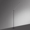 Paul Neuhaus PURE-GRAFO Floor Lamp LED black, 1-light source