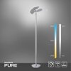 Paul Neuhaus PURE-MUTIL UpLighter LED brushed steel, 2-light sources