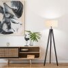 Brilliant Holbrook Floor Lamp black, 1-light source