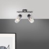 Brilliant Alia Ceiling Light black, 2-light sources