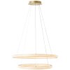 Brilliant Calvi Pendant Light LED gold, 1-light source, Remote control