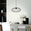 Brilliant Norden Pendant Light black, 1-light source