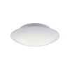 Paul Neuhaus Q-ARKTIS Ceiling Light LED white, 1-light source, Remote control, Colour changer