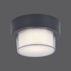 Paul Neuhaus Q-ERIK Wall and Ceiling Light LED white, 1-light source, Motion sensor, Remote control, Colour changer