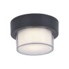 Paul Neuhaus Q-ERIK Wall and Ceiling Light LED white, 1-light source, Motion sensor, Remote control, Colour changer