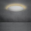 Escale BLADE Ceiling Light LED silver, 1-light source
