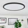 Sasinhosa Ceiling Light LED black, 1-light source, Remote control