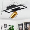 Reboleiro Ceiling Light LED black, 2-light sources