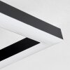 Reboleiro Ceiling Light LED black, 2-light sources