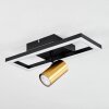 Reboleiro Ceiling Light LED black, 2-light sources