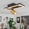 Reboleiro Ceiling Light LED black, 2-light sources