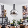Pascal Pendant Light black, 1-light source