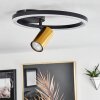 Reboleiro Ceiling Light LED black, 2-light sources