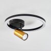 Reboleiro Ceiling Light LED black, 2-light sources