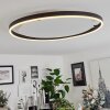 Barril Ceiling Light LED white, 1-light source