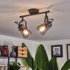 Trajouca Ceiling Light black, 2-light sources