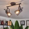 Trajouca Ceiling Light black, 2-light sources