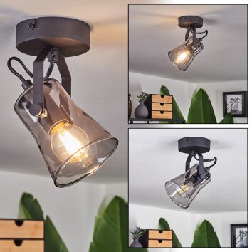 Trajouca Ceiling Light black, 1-light source