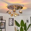 Fernandaires Ceiling Light LED matt nickel, 18-light sources