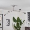 Fernandaires Ceiling Light LED matt nickel, 8-light sources