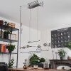 Fernandaires Pendant Light LED matt nickel, 8-light sources