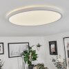 Folgares Ceiling Light LED white, 1-light source