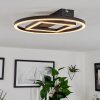 Canhoso Ceiling Light LED black, 1-light source