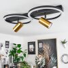 Reboleiro Ceiling Light LED black, 3-light sources