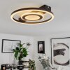 Canhoso Ceiling Light LED black, 1-light source