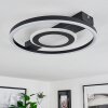 Canhoso Ceiling Light LED black, 1-light source