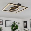 Canhoso Ceiling Light LED black, 1-light source