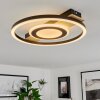 Taboneira Ceiling Light LED Ecru, black, white, 1-light source