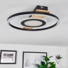 Taboneira Ceiling Light LED Ecru, black, white, 1-light source