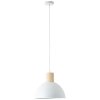 Brilliant Daintree Pendant Light white, 1-light source
