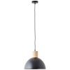 Brilliant Daintree Pendant Light black, 1-light source