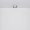 Globo CLAY Ceiling Light LED white, 1-light source