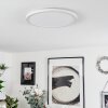 Sasinhosa Ceiling Light LED white, 1-light source, Remote control
