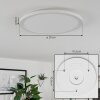 Sasinhosa Ceiling Light LED white, 1-light source, Remote control