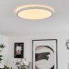 Sasinhosa Ceiling Light LED white, 1-light source, Remote control