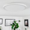 Sasinhosa Ceiling Light LED white, 1-light source, Remote control