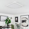 Sasinhosa Ceiling Light LED white, 1-light source, Remote control