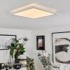 Sasinhosa Ceiling Light LED white, 1-light source, Remote control