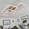 Relous Ceiling Light LED stainless steel, 3-light sources, Remote control, Colour changer