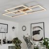Relous Ceiling Light LED stainless steel, 3-light sources, Remote control, Colour changer