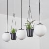 Malhadancha Pendant Light black, 3-light sources
