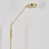 Huallilemu Floor Lamp LED clear, brass, white, 1-light source