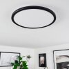 Hortinhas Ceiling Light LED black, 1-light source, Remote control, Colour changer